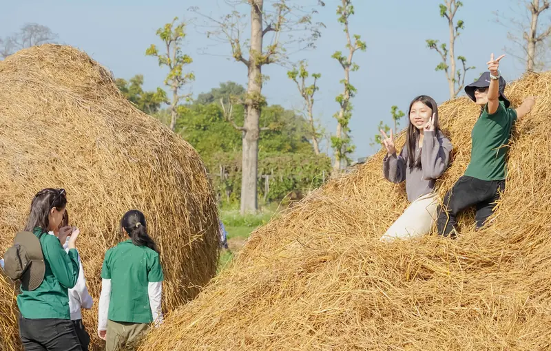 Students among the straw stacks on a farm after harvest